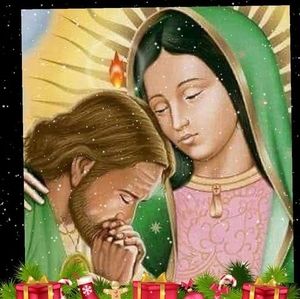 Meet your Posher, Amelia